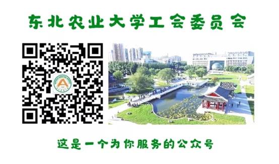 29b7acae3280db4017f74437d5cd904